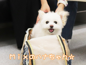 卒業生が愛犬と遊びに来てくれました♪